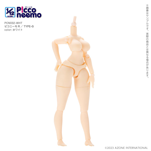1/12 Picco Neemo R TYPE-G