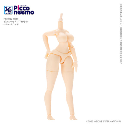 1/12 Picco Neemo R TYPE-G