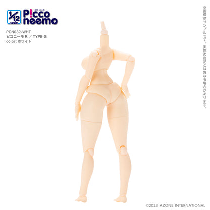 1/12 Picco Neemo R TYPE-G