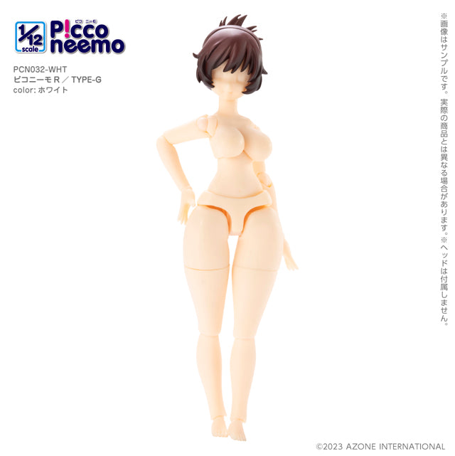 1/12 Picco Neemo R TYPE-G