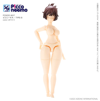 1/12 Picco Neemo R TYPE-G